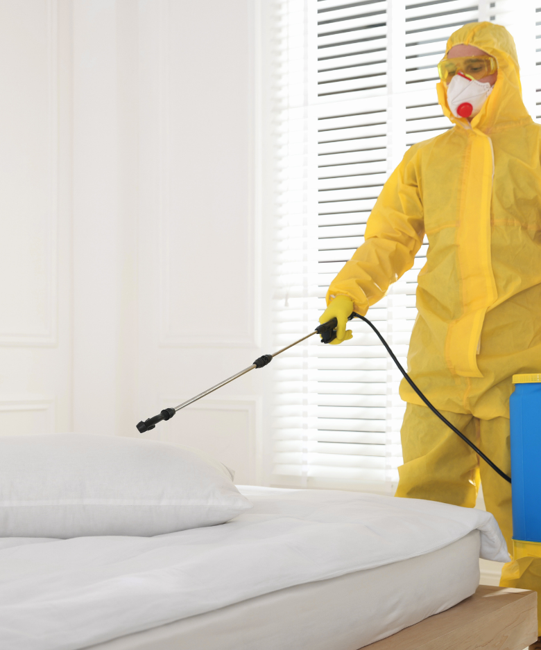 Professional Pest Control Team in Maylands